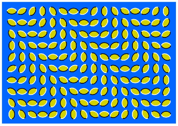rice-wave-illusion
