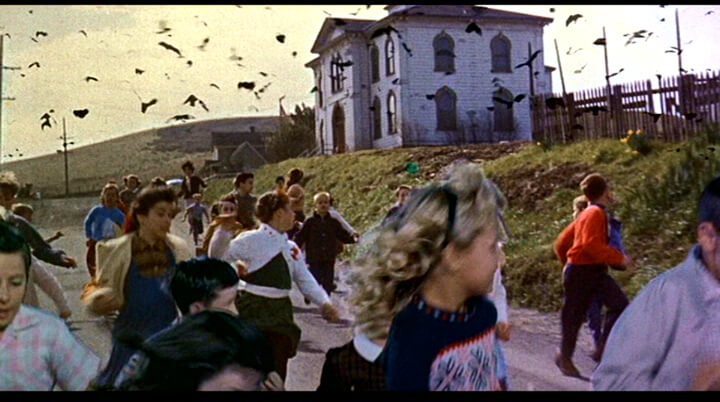 the-birds-1963-horror